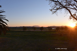 Tafelberg bei Sonnenuntergang