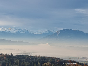 Berner und Walliser Alpen mit Pilatus