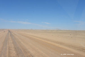 Unendliche Weite der Namib