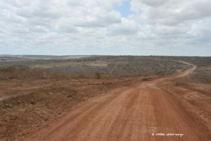 Weite Landschaft in Kenia