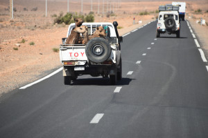 Dromedar-Transport auf Westsaharisch ;-)