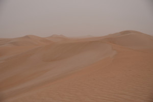 Wüstenimpression
