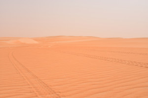 Wunderschöne Wüste