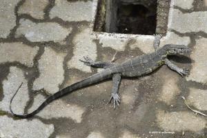 Zuerst mal ausruhen ...