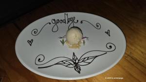 Abschiedsgruss vom Packshed