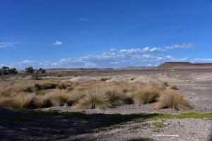 Die "Rhino Oase" - immer wieder anders