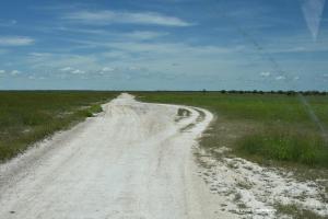 In der Etosha