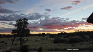 Abendstimmung auf Ongovia 
