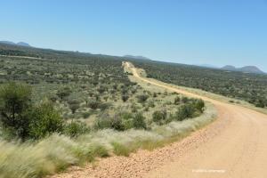 Auf dem Weg zum Remhoogte Pass