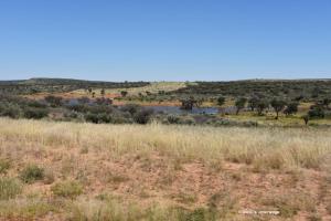 Auch hier hat es viel geregnet