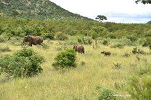 Gross, halb gross, nicht gross ;-)