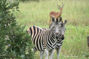 Halli hallo dort drüben
