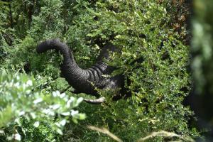 Bin ich gut versteckt ;-)?