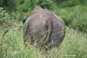 Nicht nur vorne breit ;-)