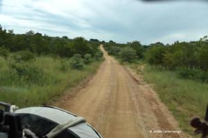 Piste im Krüger NP