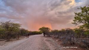 Abendstimmung mit Gewitter