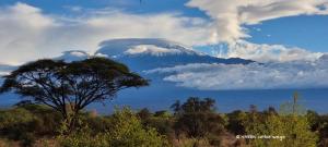 Aussicht auf den Kilimandjaro