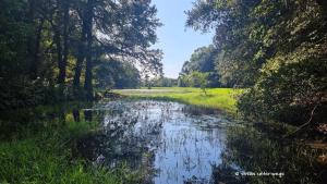 Dann noch von der anderen Seite ...