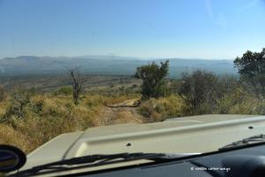 Im Hluhluwe-iMfolozi Park