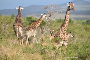 ... mit drei Kleinen :-)