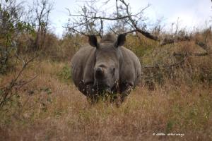 Fast breiter wie hoch ;-)