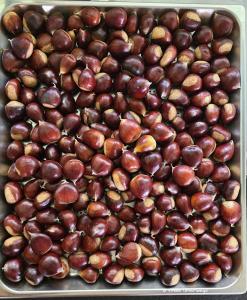 Unsere eigenen Maroni :-) !