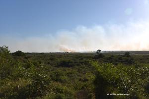 Gezieltes Abbrennen von Feldern