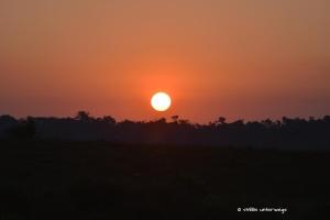 Sonnenuntergang im iSimangaliso