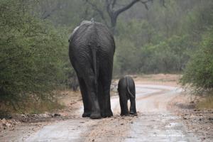 Gross und winzig klein