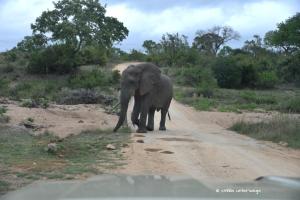 Auf der Suche nach Wasser