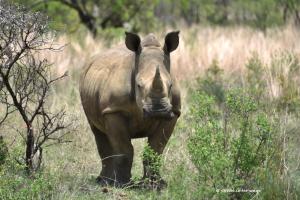 Und beim Kleinen wird es sicher auch noch grösser