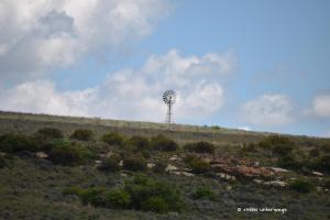 Windrad für die Wasserpumpe