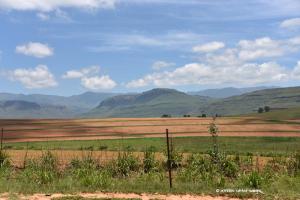 Fruchtbares Farmland